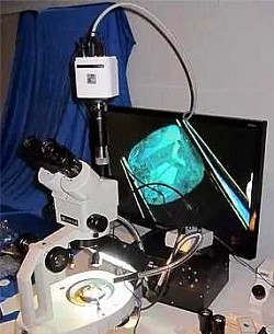 https://gtllab.simdif.com
