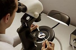 gemstones microscope